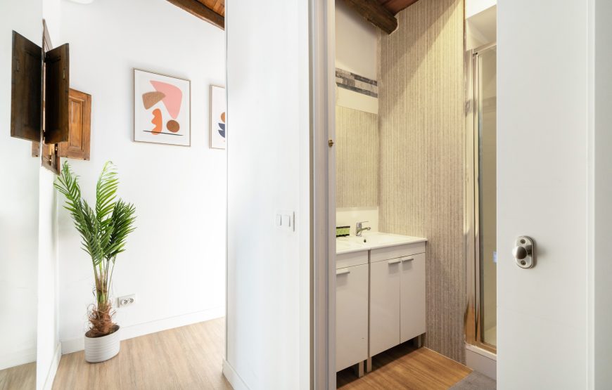 Apartamento Callejon del Mellizo en Madrid