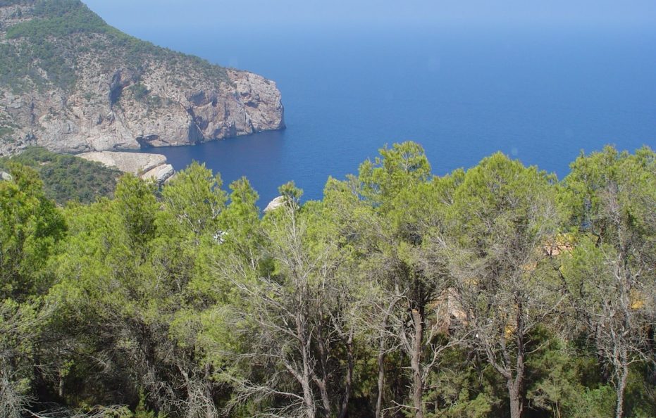 Una villa lujosa con piscina y la mejores vista al mar