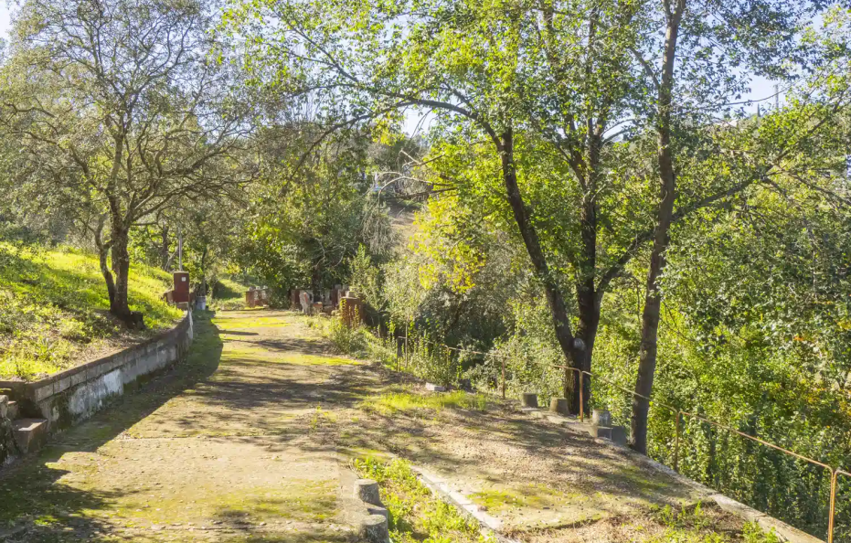 Casa Rural Quinta de los Cisnes