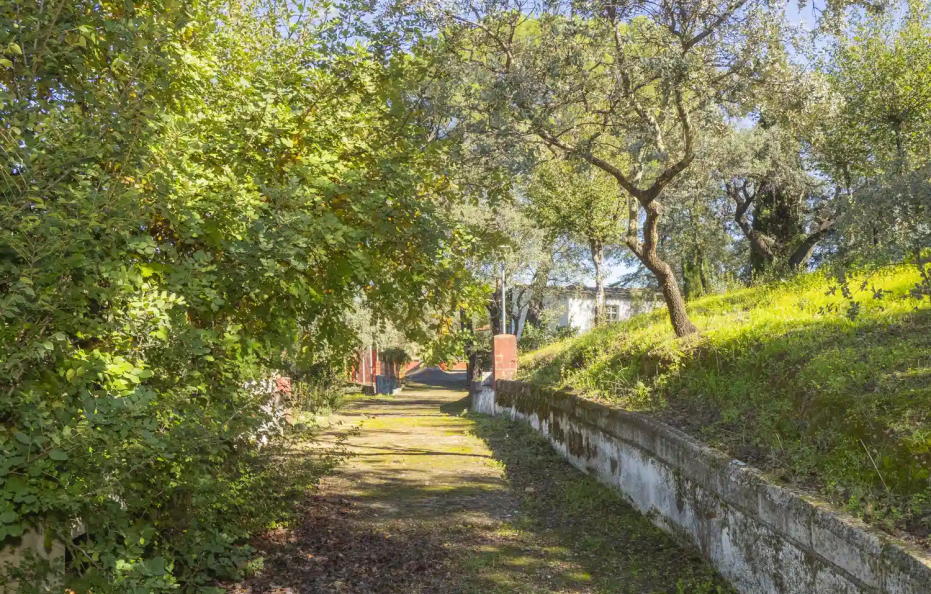 Casa Rural Quinta de los Cisnes