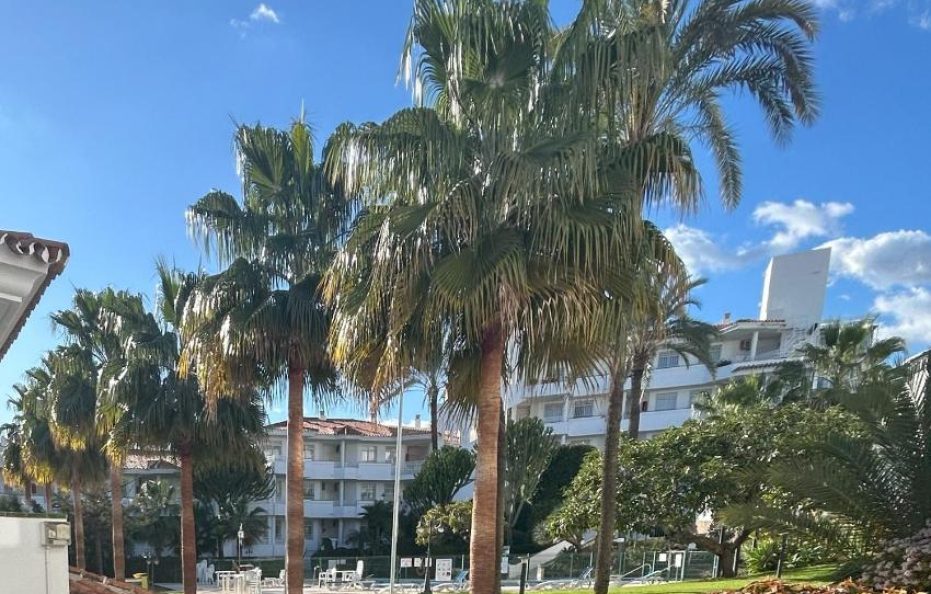 Sol y Piscina Fuengirola